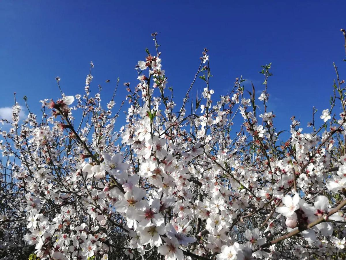 Casa Mimi Lägenhet FAO Exteriör bild